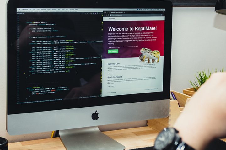 Laravel vs. Symfony– Which PHP Framework is better For Your Project?