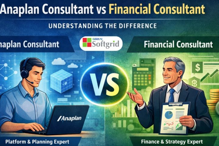 Anaplan Consultant vs Financial Consultant: Understanding the Difference