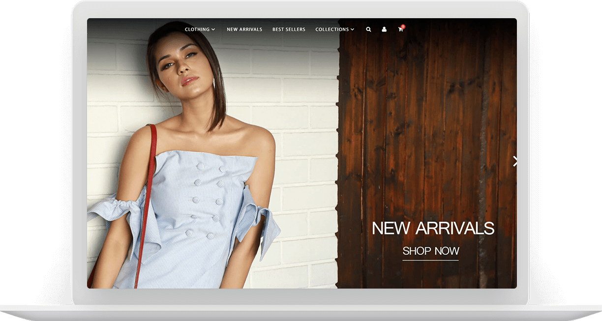 Shopify experts 